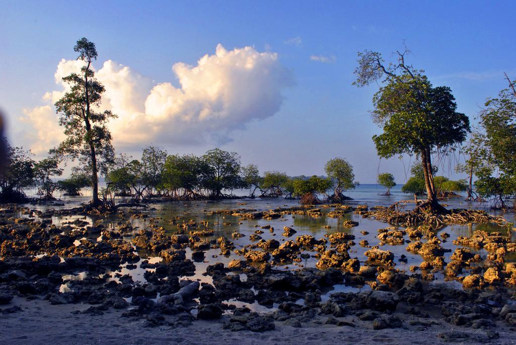 Sea Shell Neil Hotel Lakshmanpur Buitenkant foto