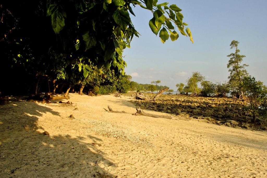 Sea Shell Neil Hotel Lakshmanpur Buitenkant foto