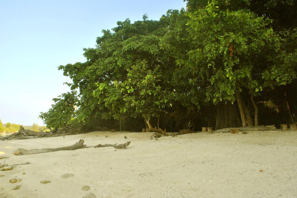 Sea Shell Neil Hotel Lakshmanpur Buitenkant foto